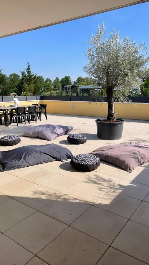 Appartement La terrasse du parc à Marckolsheim Extérieur photo